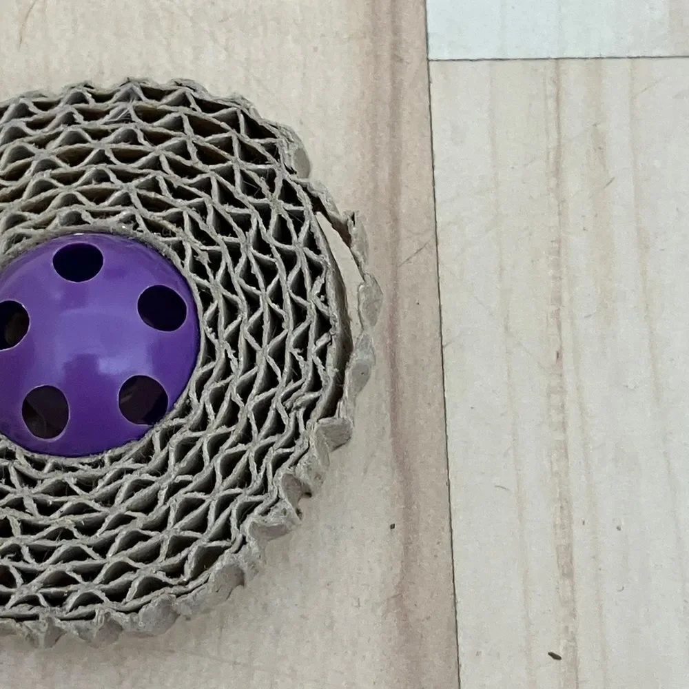Gently Used Cat Toy